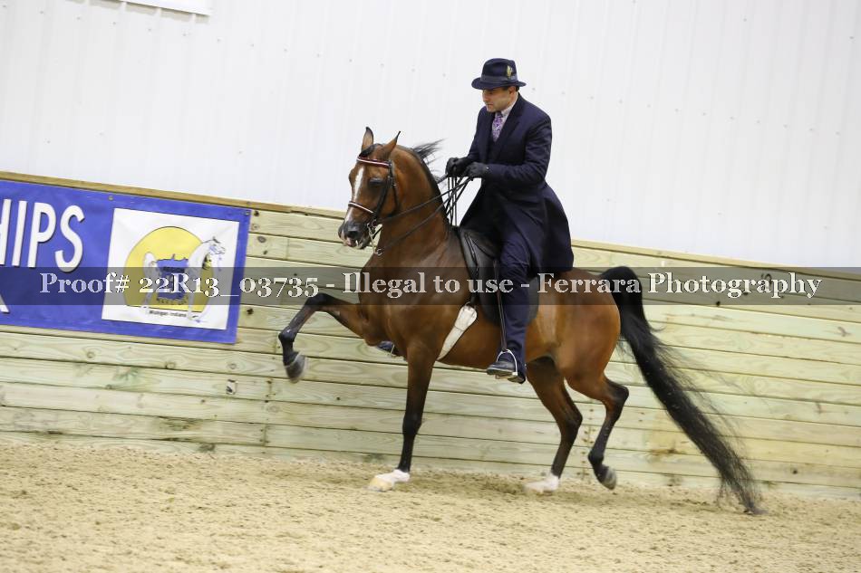 Proof 22R13_03735