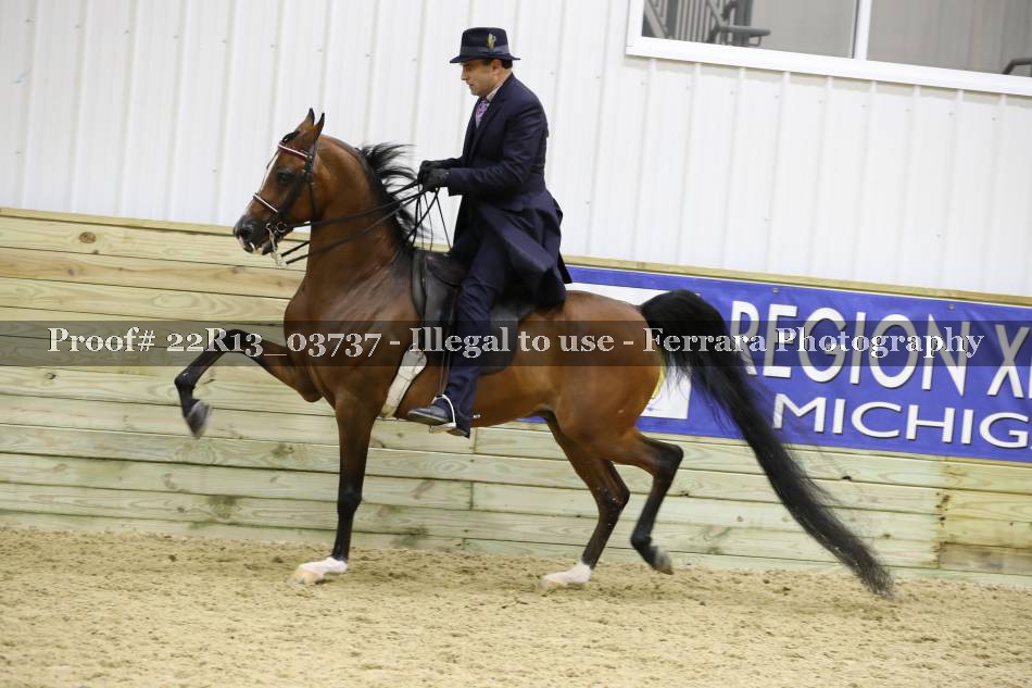 Proof 22R13_03737
