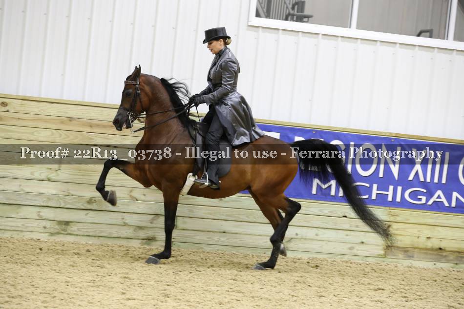 Proof 22R13_03738