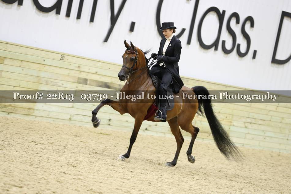 Proof 22R13_03739