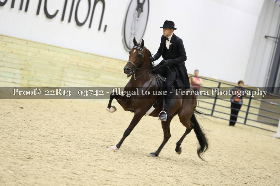 Proof 22R13_03742