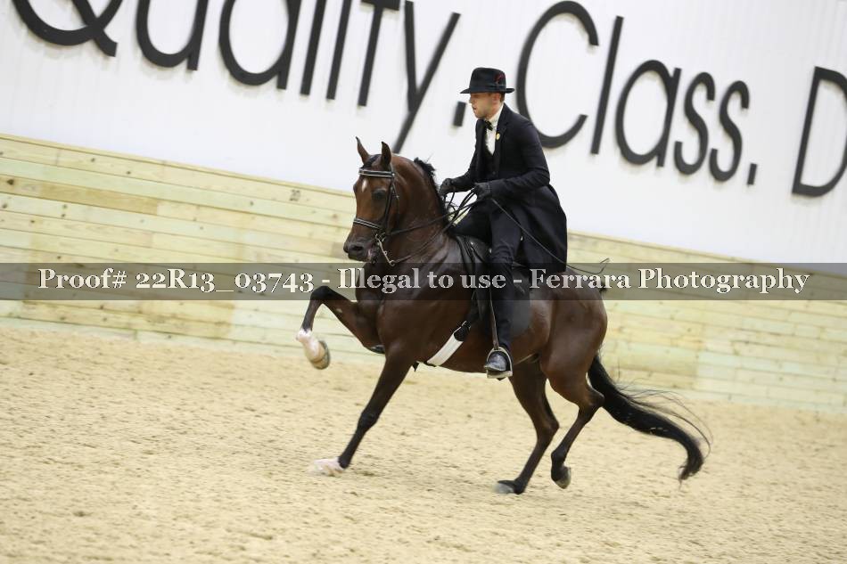 Proof 22R13_03743