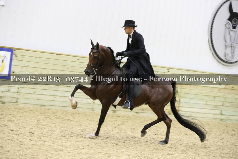 Proof 22R13_03744