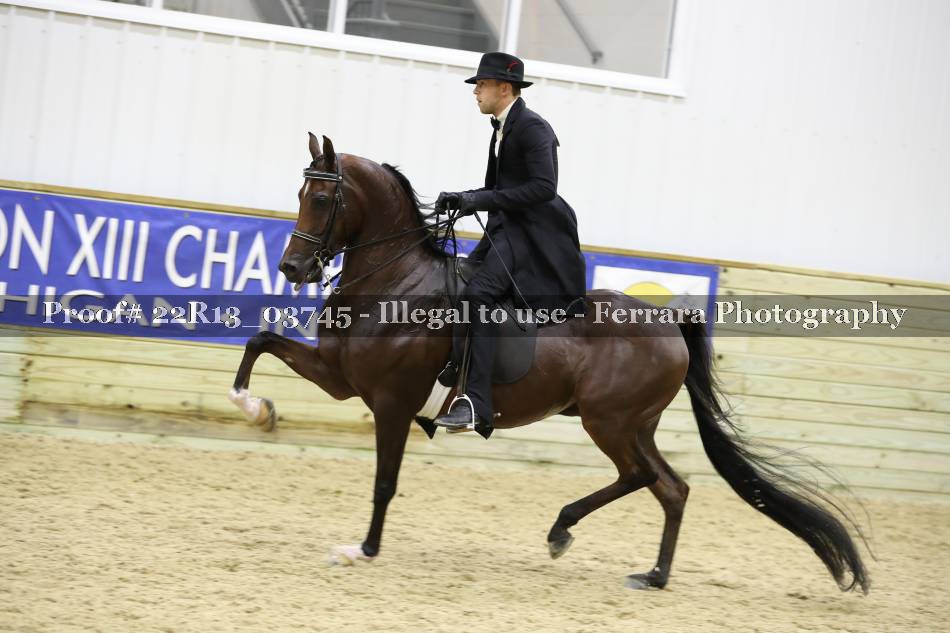 Proof 22R13_03745