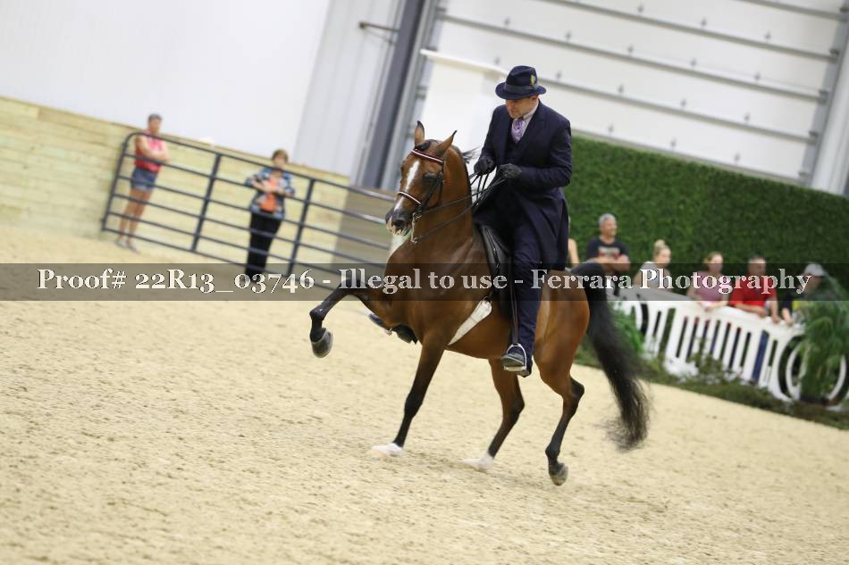 Proof 22R13_03746