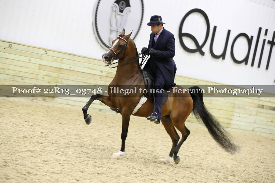 Proof 22R13_03748