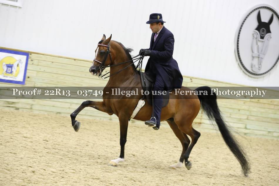 Proof 22R13_03749