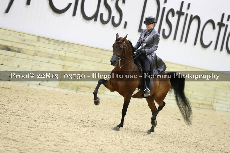 Proof 22R13_03750