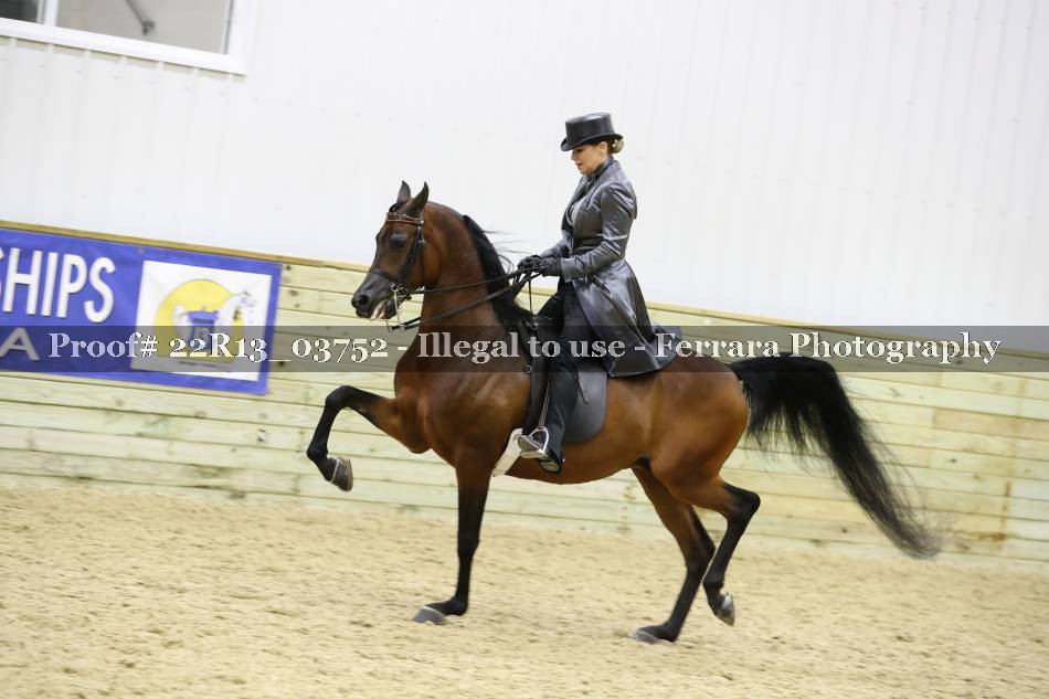 Proof 22R13_03752