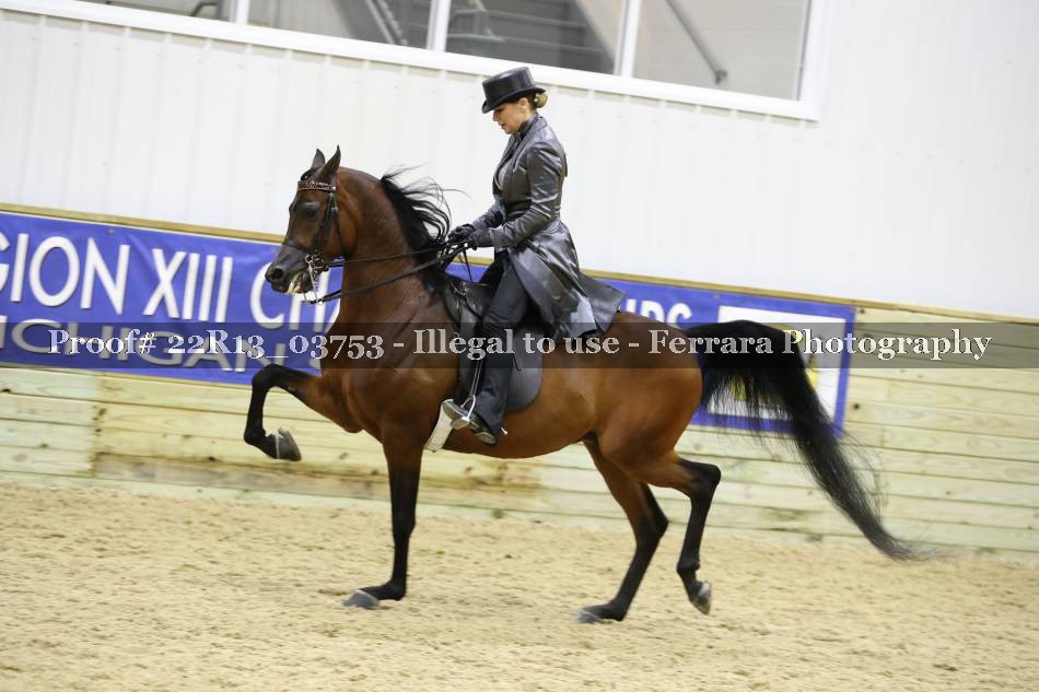 Proof 22R13_03753