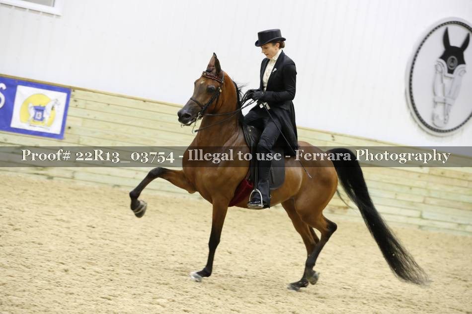 Proof 22R13_03754