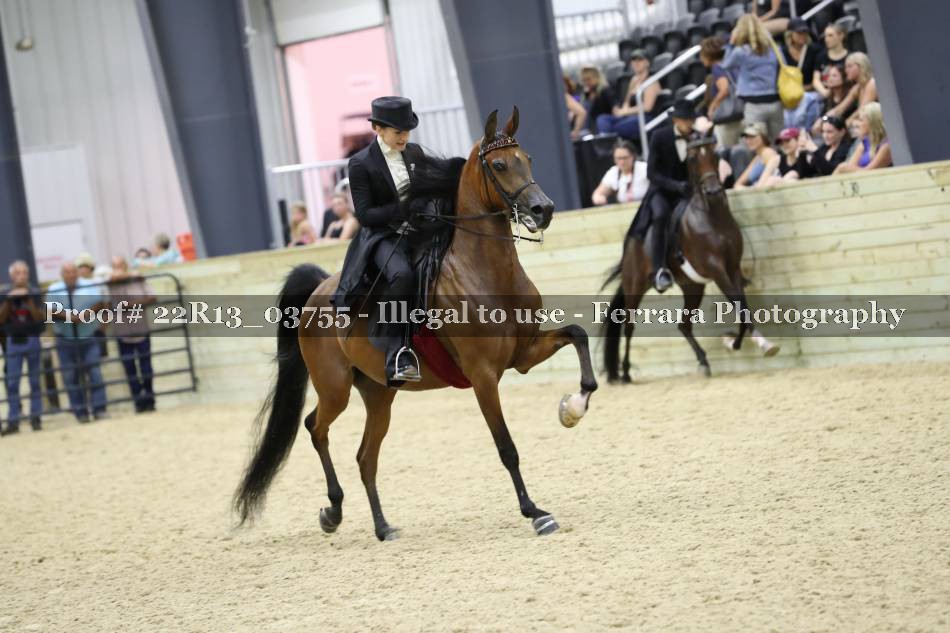 Proof 22R13_03755