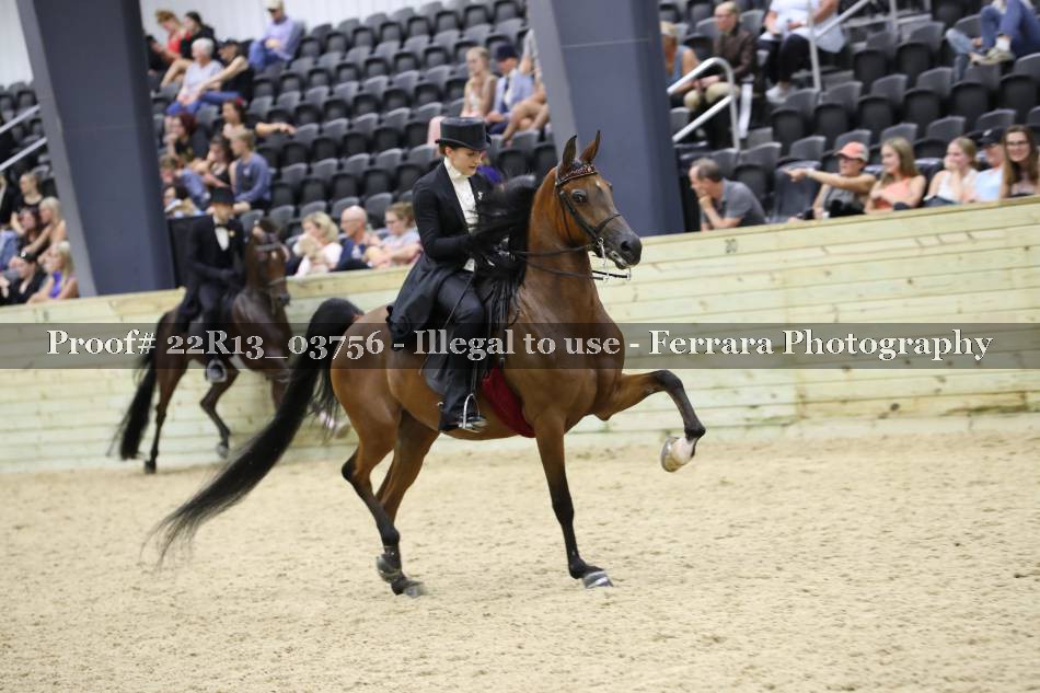 Proof 22R13_03756
