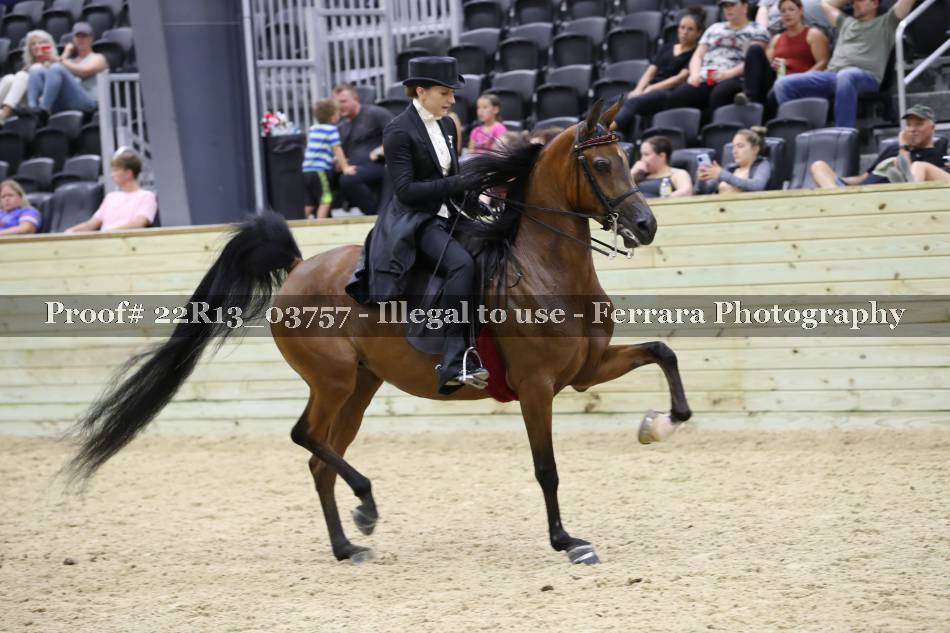 Proof 22R13_03757