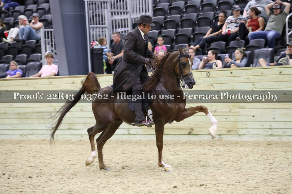Proof 22R13_03762