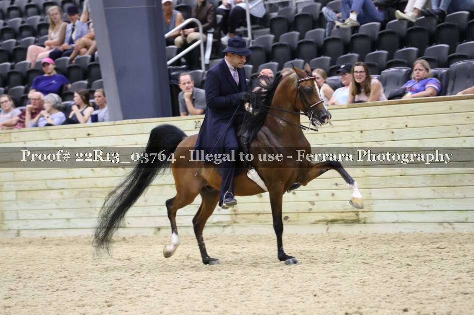 Proof 22R13_03764