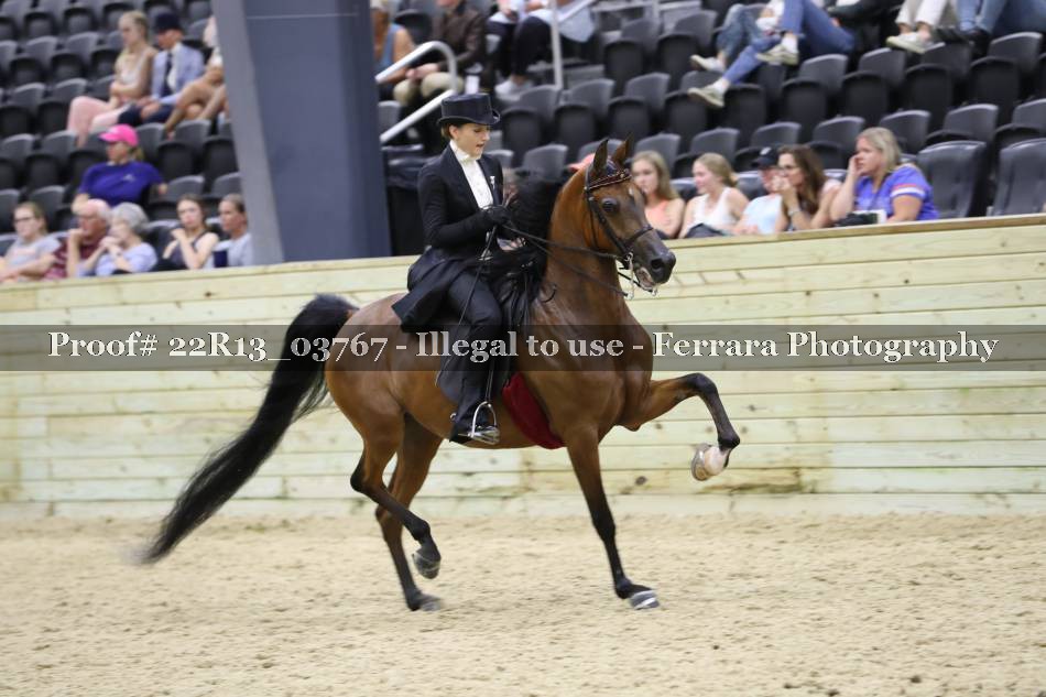 Proof 22R13_03767