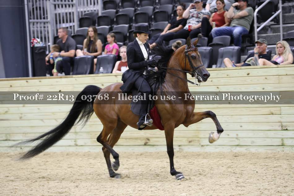Proof 22R13_03768
