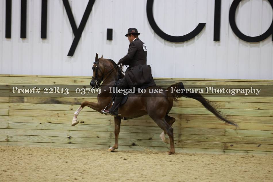 Proof 22R13_03769