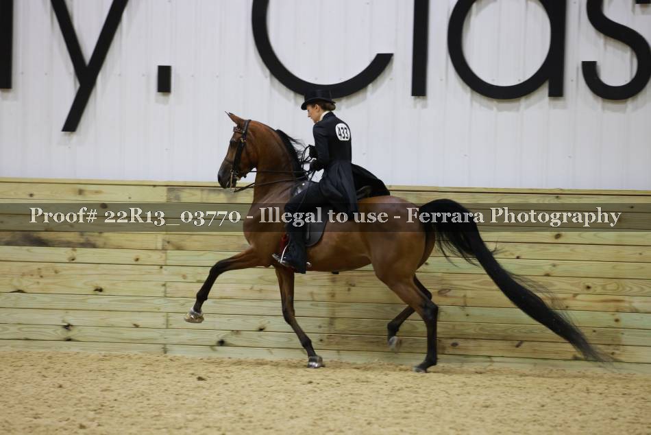 Proof 22R13_03770
