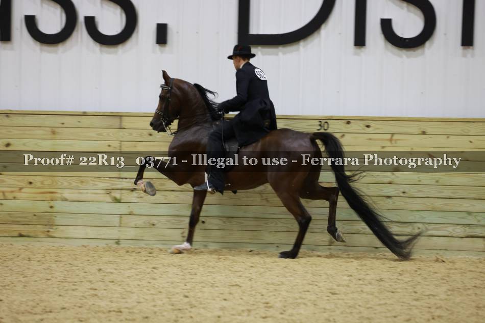 Proof 22R13_03771