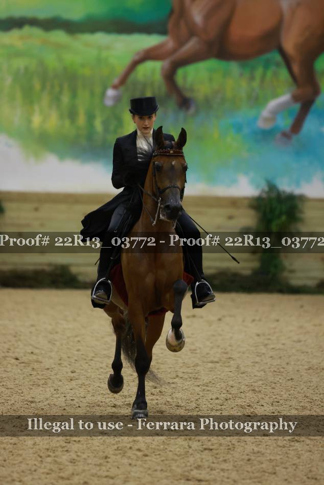 Proof 22R13_03772