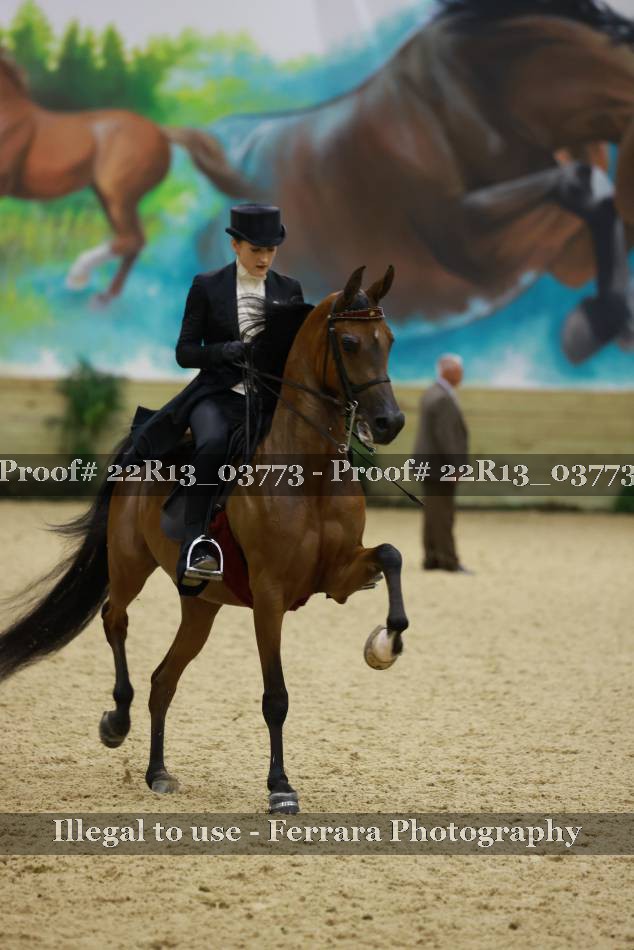 Proof 22R13_03773