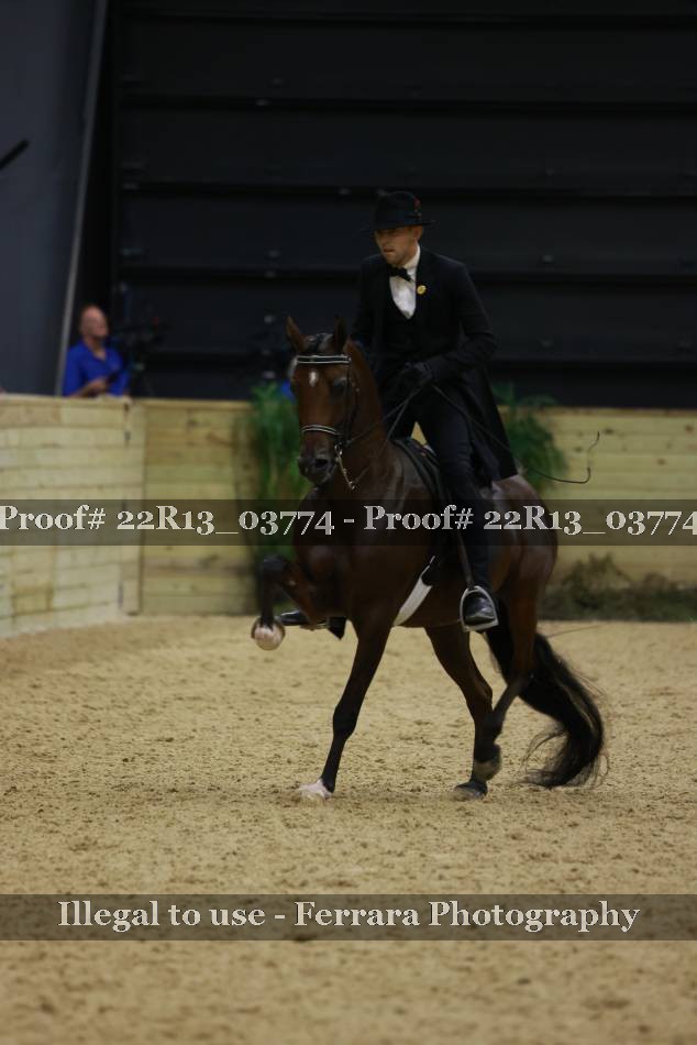 Proof 22R13_03774