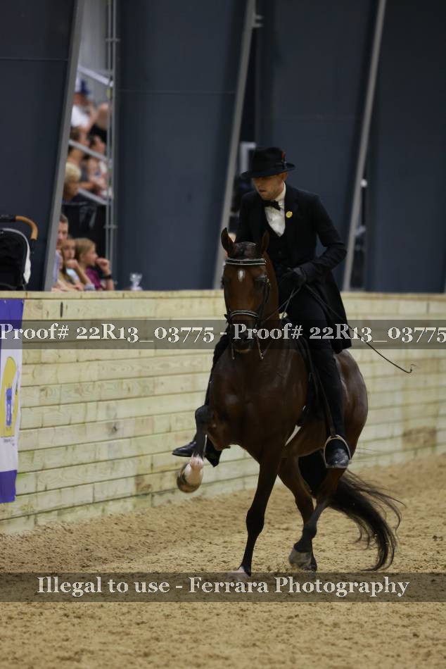 Proof 22R13_03775