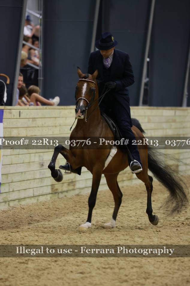 Proof 22R13_03776