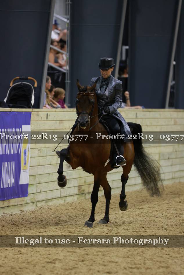 Proof 22R13_03777