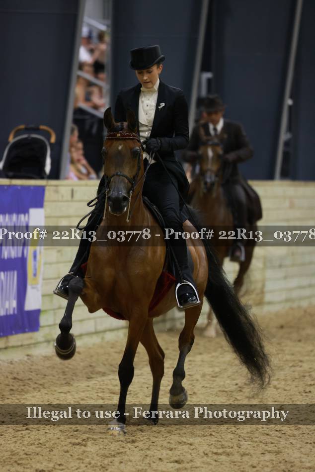 Proof 22R13_03778