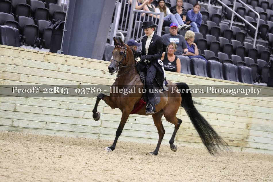 Proof 22R13_03780