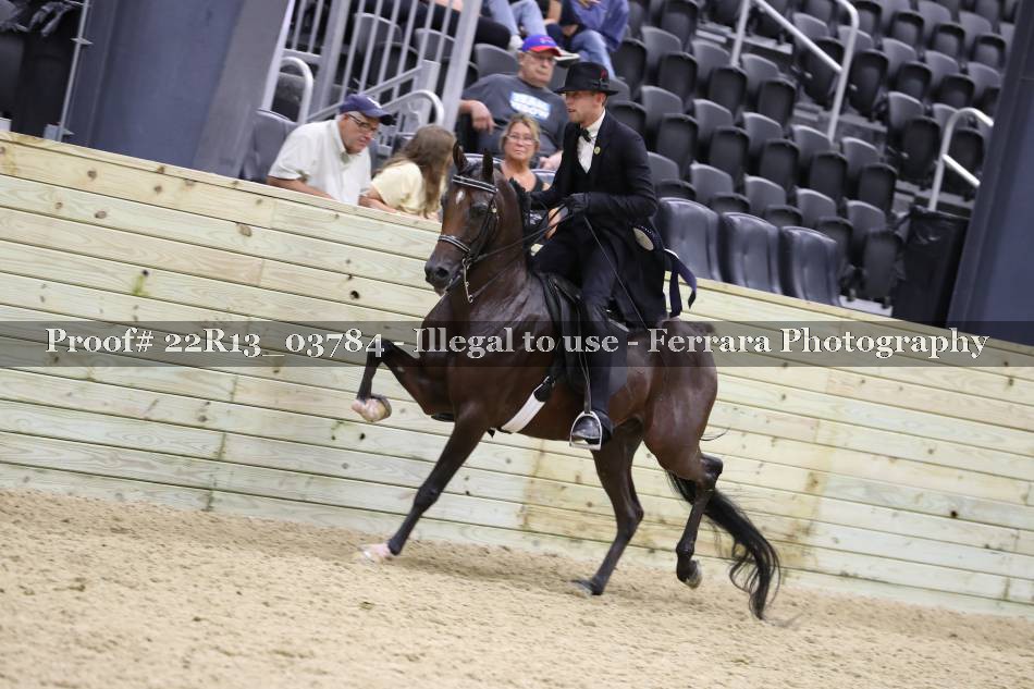 Proof 22R13_03784