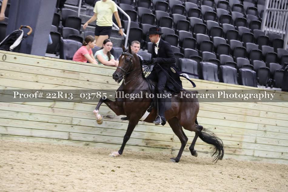 Proof 22R13_03785