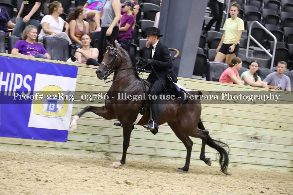 Proof 22R13_03786