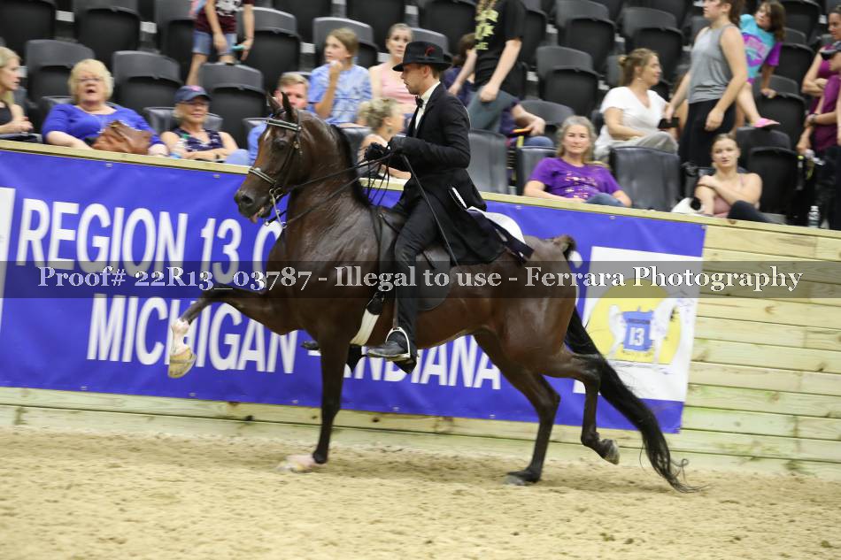 Proof 22R13_03787