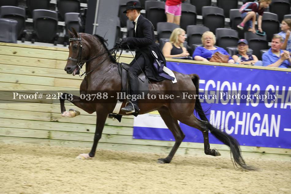 Proof 22R13_03788