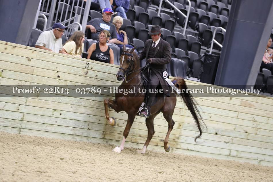 Proof 22R13_03789