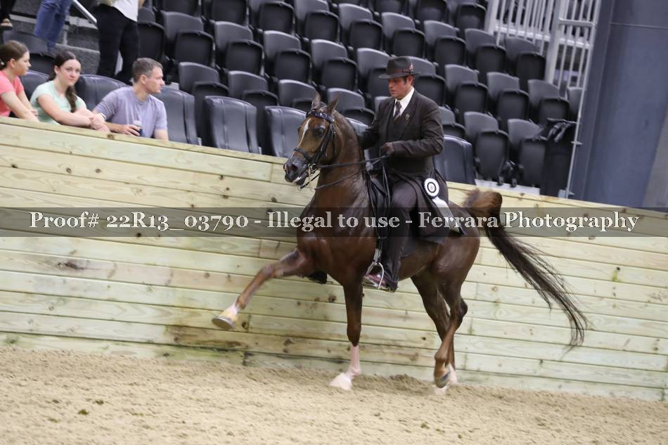 Proof 22R13_03790