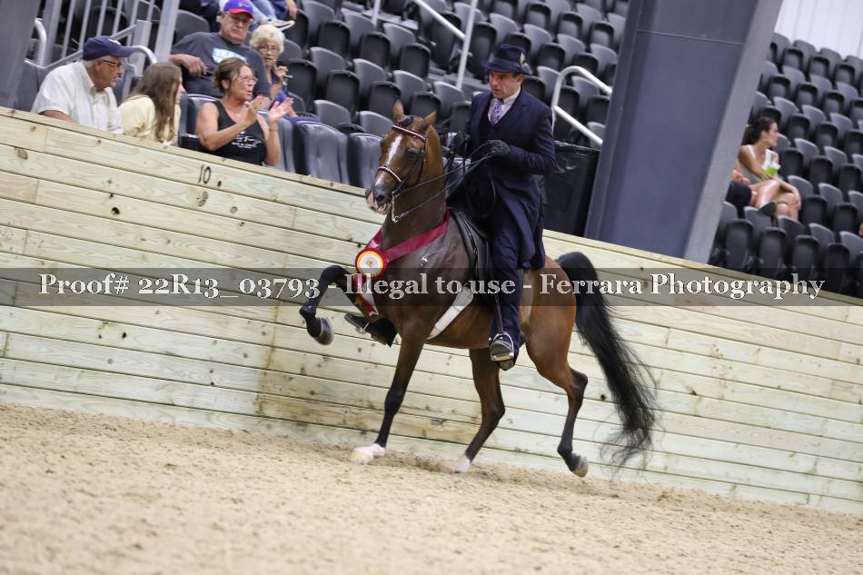 Proof 22R13_03793