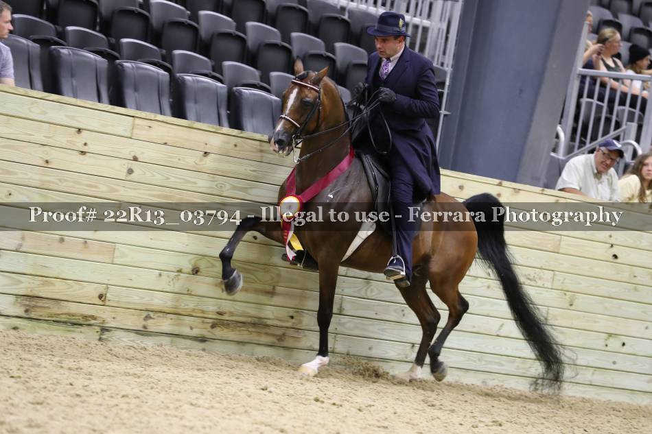 Proof 22R13_03794