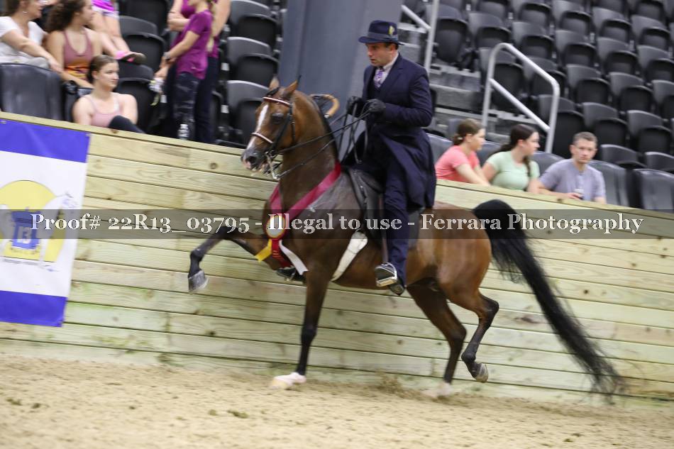 Proof 22R13_03795