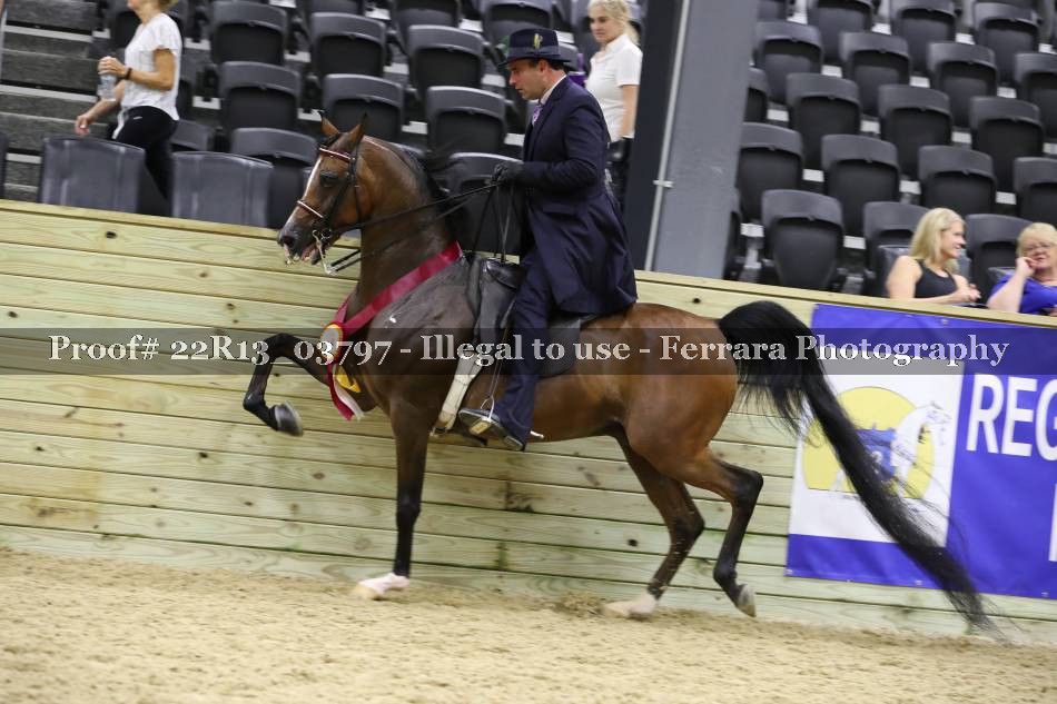 Proof 22R13_03797