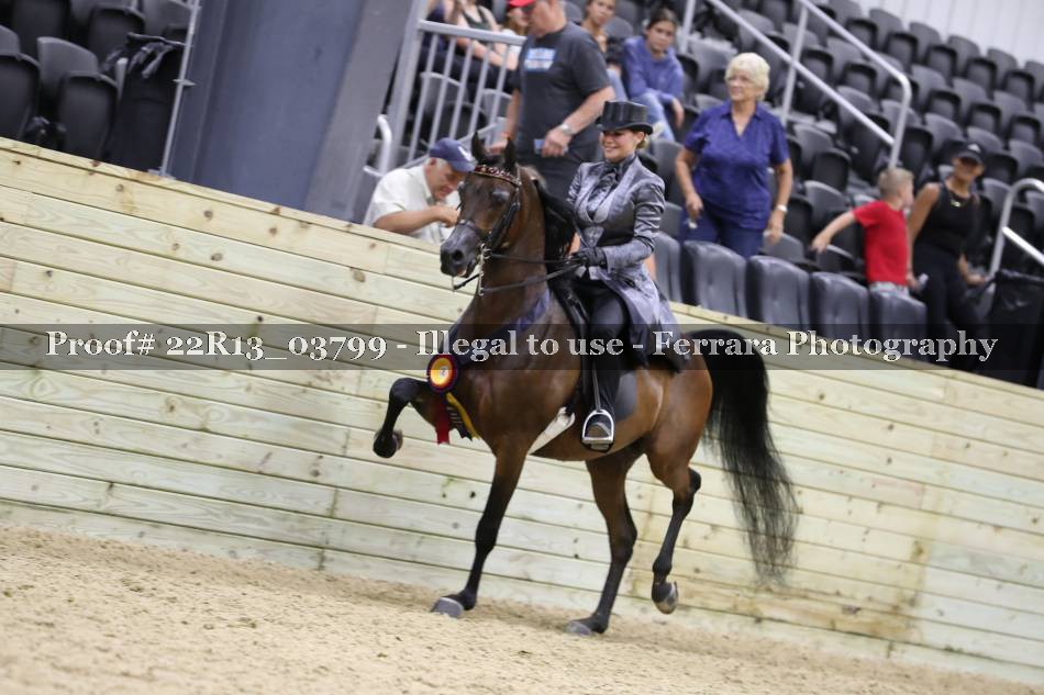 Proof 22R13_03799