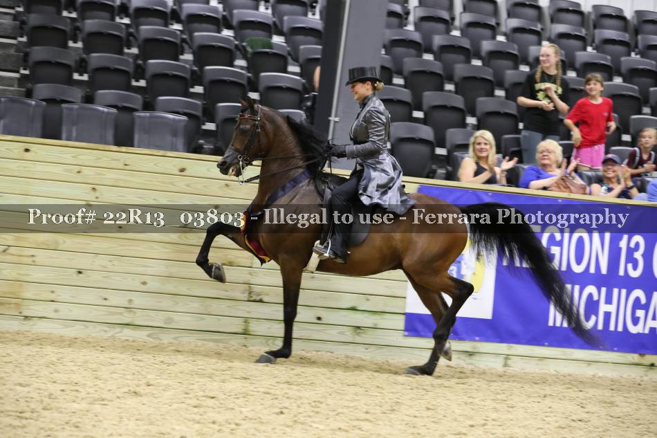 Proof 22R13_03803