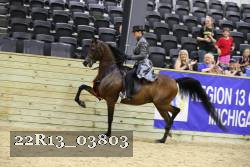 22R13_03803 proof