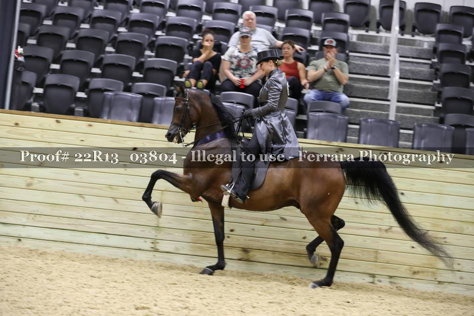 Proof 22R13_03804
