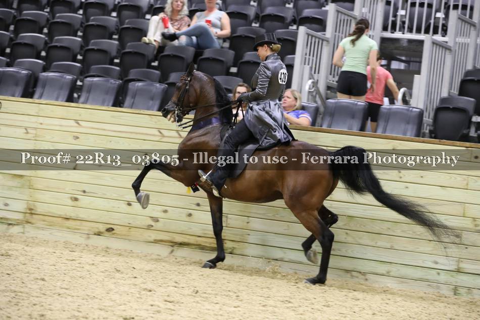 Proof 22R13_03805