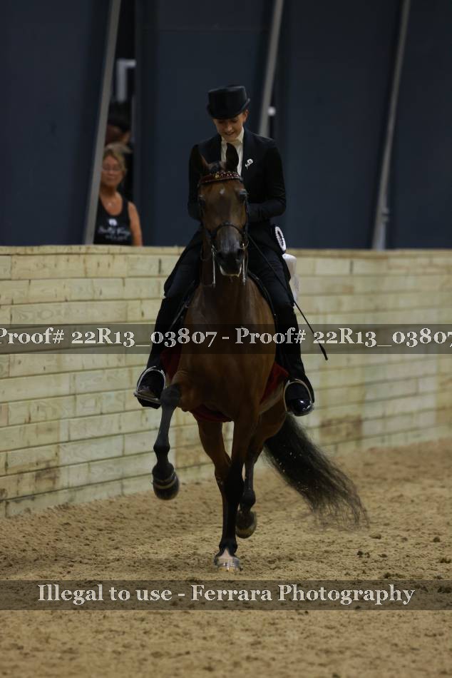 Proof 22R13_03807
